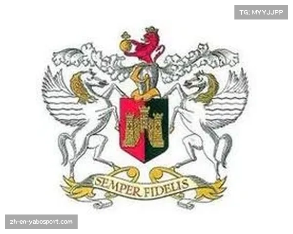 英超球队城市分布及其历史文化背景深度解析 英超球队城市分布及其历史文化背景深度解析